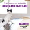 imageNutramax Dasuquin Joint Health Supplement for Cats  With Glucosamine Chondroitin ASU Boswellia Serrata Extract Green Tea Extract and Omega3 84 Soft Chews
