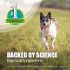 imageNutramax Dasuquin with MSM Joint Health Supplement for Small to Medium Dogs  With Glucosamine MSM Chondroitin ASU Boswellia Serrata Extract and Green Tea Extract 84 Chewable TabletsPack of 1