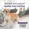 imageNutramax Denamarin Liver Health Supplement for Large Dogs  With SAdenosylmethionine SAMe and Silybin 30CountPack of 1