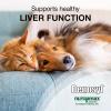 imageNutramax Denosyl Liver and Brain Health Supplement for Small Dogs and Cats With SAdenosylmethionine SAMe 30 Tablets