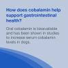 imageNutramax Laboratories Cobalequin B12 Supplement for Medium to Large Dogs 45 Chewable Tablets Hydrolyzed Chicken 208 ounces
