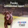 imageNutramax Laboratories Cobalequin B12 Supplement for Medium to Large Dogs 45 Chewable Tablets Hydrolyzed Chicken 208 ounces