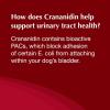 imageNutramax Laboratories Crananidin Cranberry Extract Urinary Tract Health Supplement for Dogs 75 Chewable Tablets