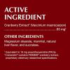 imageNutramax Laboratories Crananidin Cranberry Extract Urinary Tract Health Supplement for Dogs 75 Chewable Tablets