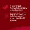imageNutramax Laboratories Crananidin Cranberry Extract Urinary Tract Health Supplement for Dogs 75 Chewable Tablets