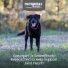 imageNutramax Laboratories Dasuquin Joint Health Supplement for Large Dogs  With Glucosamine Chondroitin ASU Boswellia Serrata Extract and Green Tea Extract 84 Soft Chews DASL84SCLarge Dog 150 Count Pack of 1