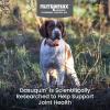 imageNutramax Laboratories Dasuquin with MSM Joint Health Supplement for Small to Medium Dogs  With Glucosamine MSM Chondroitin ASU Boswellia Serrata Extract and Green Tea Extract 84 Soft Chews