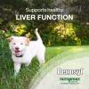 imageNutramax Laboratories Denosyl Liver and Brain Health Supplement for Large Dogs With SAdenosylmethionine SAMe 30 Tablets30