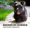 imageNutramax Laboratories Denosyl Liver and Brain Health Supplement for Large Dogs With SAdenosylmethionine SAMe 30 Tablets30