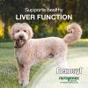 imageNutramax Laboratories Denosyl Liver and Brain Health Supplement for Large Dogs With SAdenosylmethionine SAMe 30 Tablets30