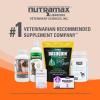 imageNutramax Laboratories Nutramax Imuquin Immune Health Supplement Powder for Dogs with Beta Glucans Marine Lipids Vitamins and Minerals 30 Packets Updated VersionUpdated Version
