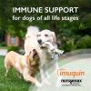 imageNutramax Laboratories Nutramax Imuquin Immune Health Supplement Powder for Dogs with Beta Glucans Marine Lipids Vitamins and Minerals 30 Packets Updated VersionUpdated Version