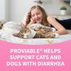 imageNutramax Proviable Digestive Health Supplement Kit with MultiStrain Probiotics and Prebiotics for Cats and Small Dogs With 7Strains of Bacteria 15 mL Paste and 10 Capsules