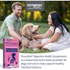 imageNutramax Proviable Digestive Health Supplement Kit with MultiStrain Probiotics and Prebiotics for Cats and Small Dogs With 7Strains of Bacteria 15 mL Paste and 10 Capsules
