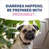 imageNutramax Proviable Probiotics for Dogs Diarrhea Support Kit Digestive Health Supplement with Multiple Strains of Bacteria Plus Prebiotics Kaolin and Pectin 30 ml Paste and 10 CapsulesMediumLarge Dog Over 20 lbs