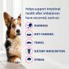 imageNutramax Proviable Probiotics for Dogs Diarrhea Support Kit Digestive Health Supplement with Multiple Strains of Bacteria Plus Prebiotics Kaolin and Pectin 30 ml Paste and 10 CapsulesMediumLarge Dog Over 20 lbs