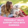 imageNutramax Proviable Probiotics for Dogs Diarrhea Support Kit Digestive Health Supplement with Multiple Strains of Bacteria Plus Prebiotics Kaolin and Pectin 30 ml Paste and 10 CapsulesMediumLarge Dog Over 20 lbs