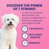 imageNutramax Proviable Probiotics for Dogs and Cats Daily Digestive Health Supplement with Multiple Strains of Bacteria Cat and Dog Probiotics Plus Prebiotics 80 Capsules30 Count