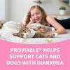 imageNutramax Proviable Probiotics for Dogs and Cats Daily Digestive Health Supplement with Multiple Strains of Bacteria Cat and Dog Probiotics Plus Prebiotics 80 Capsules30 Count