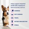 imageNutramax Proviable Probiotics for Dogs and Cats Daily Digestive Health Supplement with Multiple Strains of Bacteria Cat and Dog Probiotics Plus Prebiotics 80 Capsules30 Count