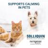 imageNutramax Solliquin Calming Behavioral Health Supplement for Small to Medium Dogs and Cats  With LTheanine Magnolia  Phellodendron and Whey Protein Concentrate 75 Soft Chews75 Ct Chew  Dog and Cat