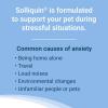 imageNutramax Solliquin Calming Behavioral Health Supplement for Small to Medium Dogs and Cats  With LTheanine Magnolia  Phellodendron and Whey Protein Concentrate 75 Soft Chews75 Ct Chew  Dog and Cat