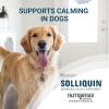 imageNutramax Solliquin Calming Behavioral Health Supplement for Small to Medium Dogs and Cats  With LTheanine Magnolia  Phellodendron and Whey Protein Concentrate 75 Soft Chews75 Ct Chew  Dog Only