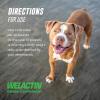 imageNutramax Welactin Daily Omega3 Supplement For Dogs Skin ampamp Coat Health Plus Overall Health 60 Soft Chews
