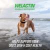 imageNutramax Welactin Daily Omega3 Supplement For Dogs Skin ampamp Coat Health Plus Overall Health 60 Soft Chews