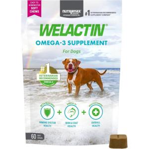imageNutramax Welactin Daily Omega3 Supplement For Dogs Skin ampamp Coat Health Plus Overall Health 60 Soft Chews