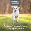 imageCosequin Joint Health Supplement for Dogs  With Glucosamine Chondroitin MSM and Omega3s 120 Soft Chews