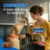 imageCosequin Joint Health Supplement for Dogs  With Glucosamine Chondroitin MSM and Omega3s 120 Soft Chews