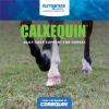 imageNutramax Calxequin Pellets Daily Hoof Support for Horses with Biotin Vitamin E ampamp Selenium 1260 Grams from The Makers of Cosequin