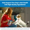 imageNutramax Cosequin DS Joint Health Supplement for Dogs  With Glucosamine and Chondroitin 250 Chewable Tablets
