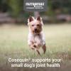 imageNutramax Cosequin Minis Maximum Strength Joint Health Supplement  With Glucosamine Chondroitin MSM and Omega3s 45 Soft Chews
