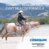 imageNutramax Cosequin Original Joint Health Supplement for Horses  Powder with Glucosamine and Chondroitin 700 Grams280 grams