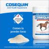 imageNutramax Cosequin Original Joint Health Supplement for Horses  Powder with Glucosamine and Chondroitin 700 Grams280 grams
