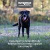 imageNutramax Dasuquin with MSM Joint Health Supplement for Large Dogs  With Glucosamine MSM Chondroitin ASU Boswellia Serrata Extract and Green Tea Extract 84 Chewable Tablets84 Count Pack of 1
