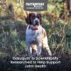 imageNutramax Dasuquin with MSM Joint Health Supplement for Small to Medium Dogs  With Glucosamine MSM Chondroitin ASU Boswellia Serrata Extract and Green Tea Extract 150 Chewable TabletsSmallMedium Dog