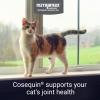 imageNutramax Laboratories Cosequin Joint Health Supplement for Cats  With Glucosamine and Chondroitin 80 Capsules