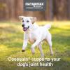 imageNutramax Laboratories Cosequin Maximum Strength Joint Health Supplement for Dogs  With Glucosamine Chondroitin MSM and Hyaluronic Acid 75 Chewable Tablets Pack of 1
