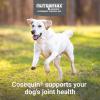 imageNutramax Laboratories Cosequin Maximum Strength Joint Health Supplement for Dogs  With Glucosamine Chondroitin and MSM 250 Chewable Tablets250 count