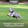 imageNutramax Laboratories Cosequin Plus MSM ampamp Boswellia Mini Sized Soft Chews1 Count Pack of 1