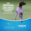 imageNutramax Laboratories Cosequin Plus MSM ampamp Boswellia Mini Sized Soft ChewsPack of 2