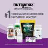 imageNutramax Laboratories Dasuquin Joint Health Supplement for Cats  With Glucosamine Chondroitin ASU Boswellia Serrata Extract and Green Tea Extract 84 Capsules