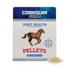 imageNutramax Cosequin ASU Plus Joint Health Supplement for Horses  Pellets with Glucosamine Chondroitin MSM ASU ALA and Hyaluronic Acid 1050 Grams
