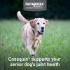 imageCosequin Senior Joint Health Supplement for Senior Dogs  With Glucosamine Chondroitin Omega3 for Skin and Coat Health and Beta Glucans for Immune Support 60 Soft Chews60 ct
