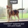 imageNutramax Cosequin Joint Health Supplement for Cats  With Glucosamine and Chondroitin 30 Capsules