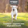 imageNutramax Cosequin Joint Health Supplement for Dogs  With Glucosamine Chondroitin MSM and Omega3s 60 Soft Chews