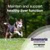 imageNutramax Laboratories Denamarin Liver Health Supplement for Medium Dogs  With SAdenosylmethionine SAMe and Silybin 30 Tablets